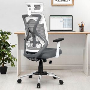 Office Chairs & Study desks