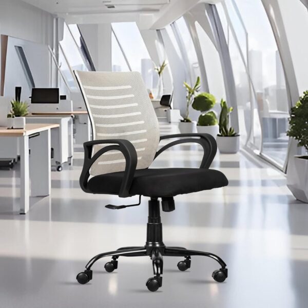 Office Chairs & Study desks