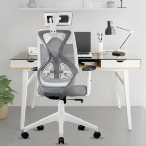 Office Chairs & Study desks