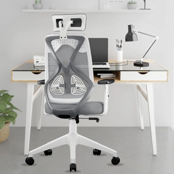 Office Chairs & Study desks